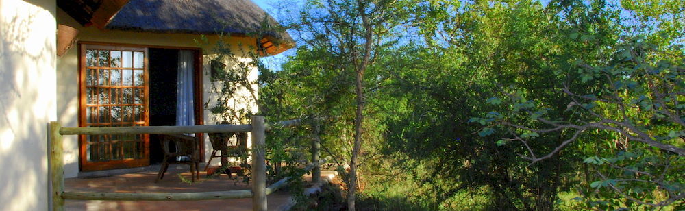 Mbizi Bush Lodge Phalaborwa Εξωτερικό φωτογραφία